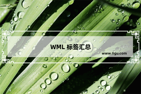 WML 标签汇总