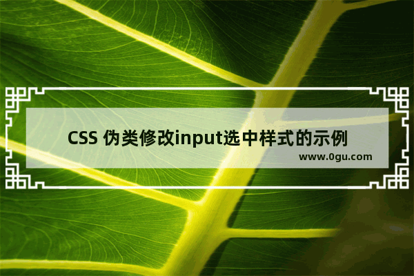 CSS 伪类修改input选中样式的示例代码