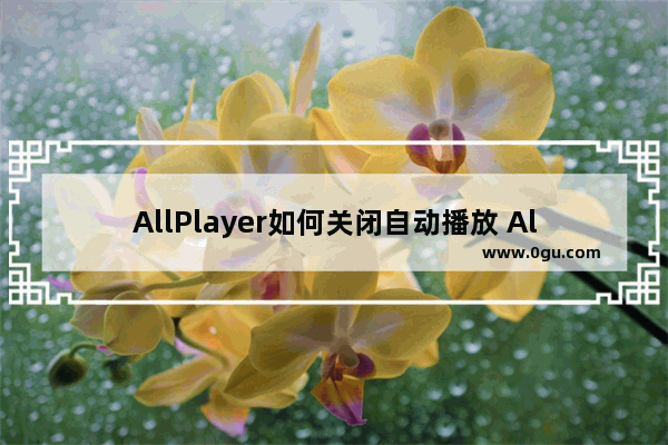 AllPlayer如何关闭自动播放 AllPlayer关闭自动播放的方法