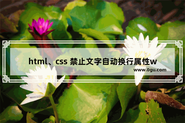 html、css 禁止文字自动换行属性word break