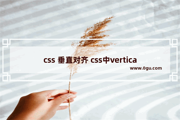 css 垂直对齐 css中vertical align属性(垂直对齐)的使用说明