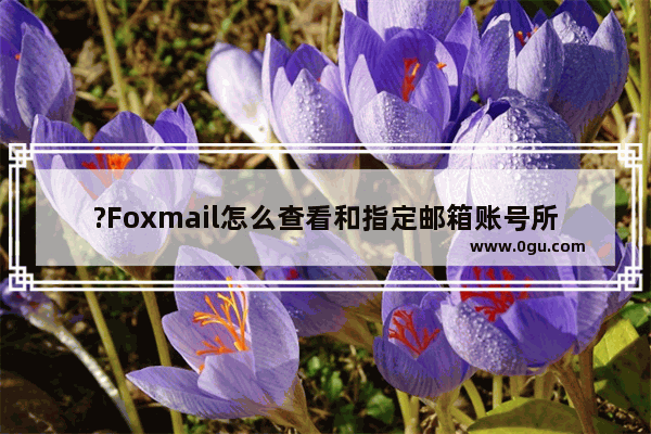 ?Foxmail怎么查看和指定邮箱账号所有的往来邮件 Foxmail邮箱查看往来邮件的方法教程