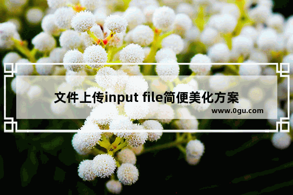 文件上传input file简便美化方案(css)