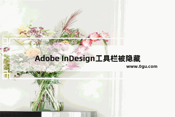 Adobe InDesign工具栏被隐藏了怎么办 InDesign工具栏消失了的显示方法