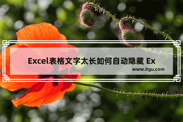 Excel表格文字太长如何自动隐藏 Excel表格文字太长自动隐藏的方法