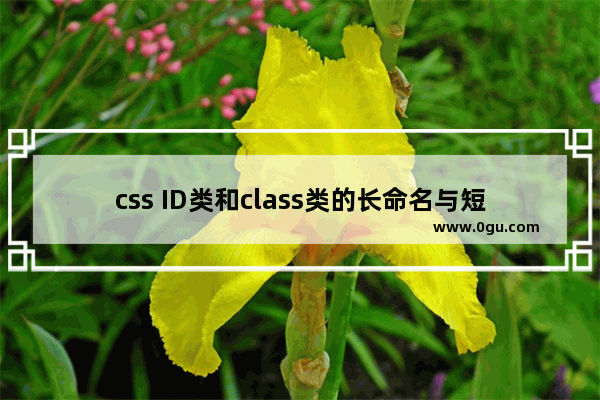 css ID类和class类的长命名与短命名