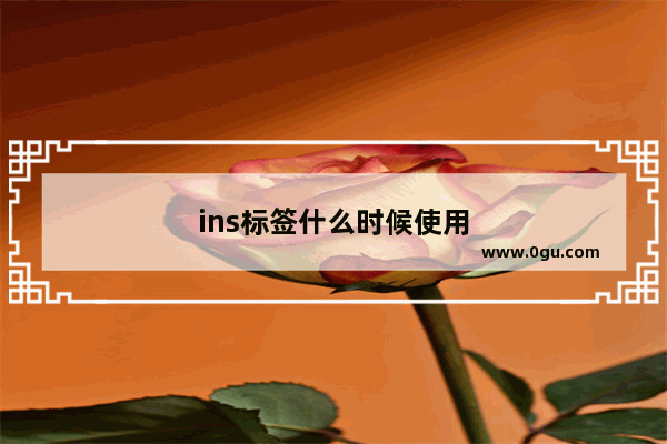 ins标签什么时候使用