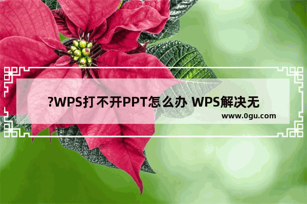 ?WPS打不开PPT怎么办 WPS解决无法正常打开PPT的方法教程