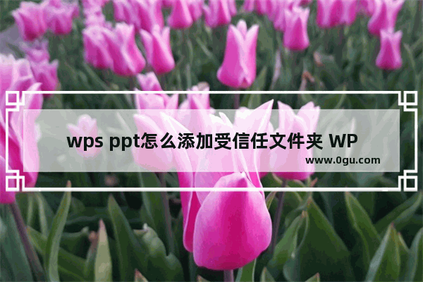 wps ppt怎么添加受信任文件夹 WPS PPT添加受信任文件夹的方法