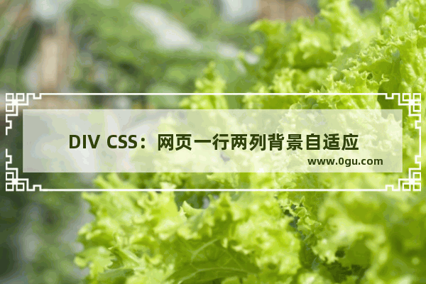 DIV CSS：网页一行两列背景自适应