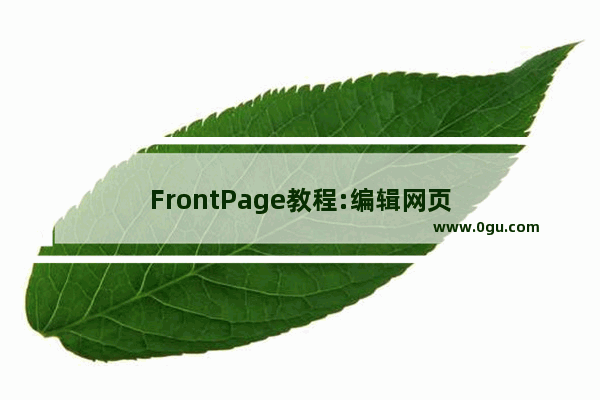 FrontPage教程:编辑网页