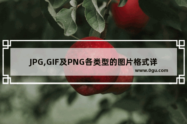 JPG,GIF及PNG各类型的图片格式详细解说