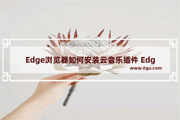 Edge浏览器如何安装云音乐插件 Edge浏览器安装云音乐插件的方法