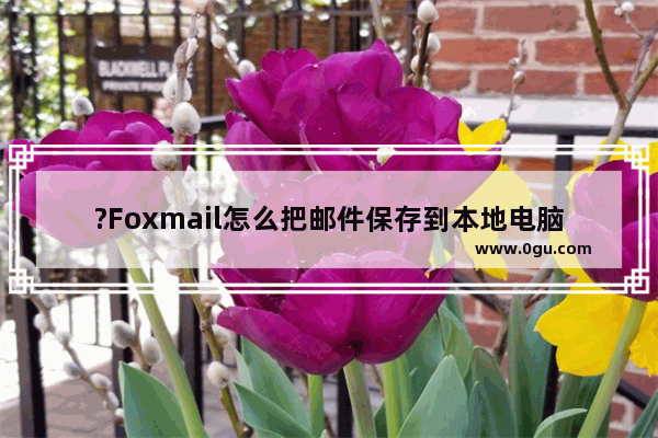 ?Foxmail怎么把邮件保存到本地电脑中 Foxmail邮箱中进行邮件存档的方法教程