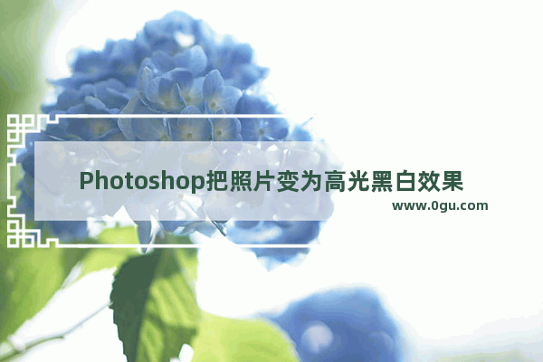 Photoshop把照片变为高光黑白效果