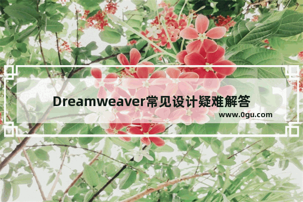 Dreamweaver常见设计疑难解答