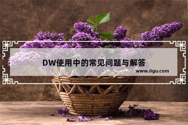 DW使用中的常见问题与解答