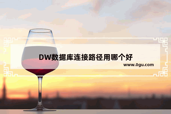 DW数据库连接路径用哪个好