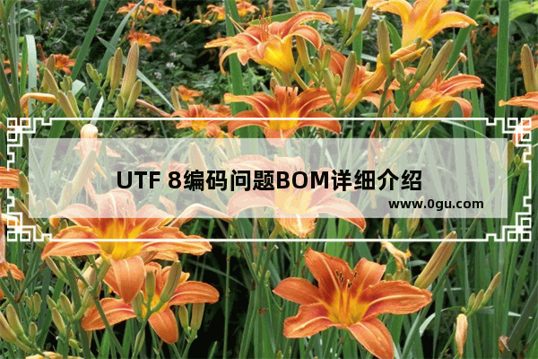 UTF 8编码问题BOM详细介绍