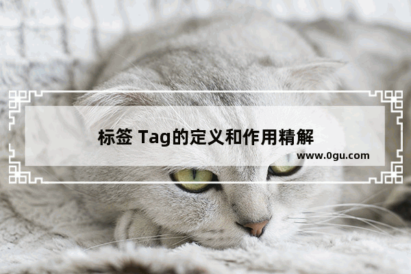 标签 Tag的定义和作用精解