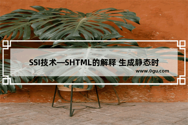 SSI技术—SHTML的解释 生成静态时用的最火