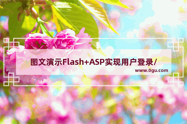 图文演示Flash+ASP实现用户登录/注册程序第1/2页