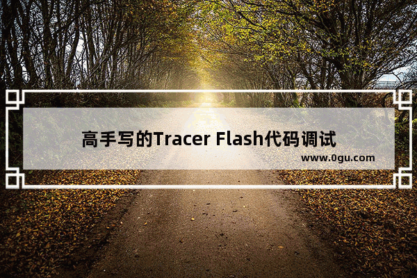 高手写的Tracer Flash代码调试类代码下载