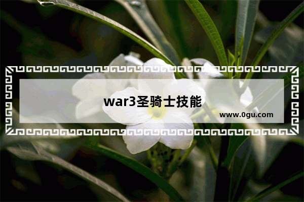 war3圣骑士技能