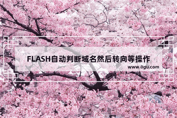 FLASH自动判断域名然后转向等操作