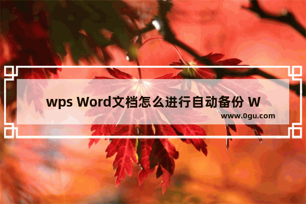 wps Word文档怎么进行自动备份 WPS Word文档设置自动保存的方法