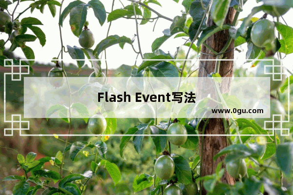 Flash Event写法