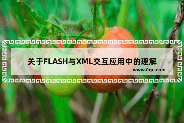 关于FLASH与XML交互应用中的理解