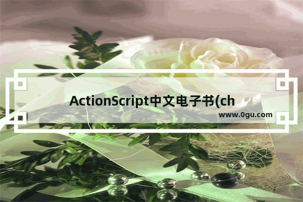 ActionScript中文电子书(chm)文件下载