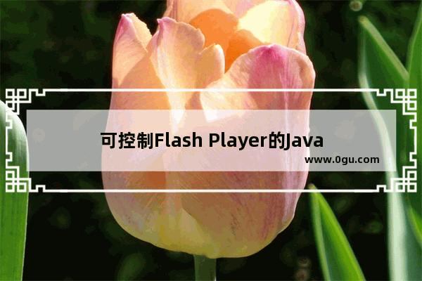 可控制Flash Player的Javascript方法总结