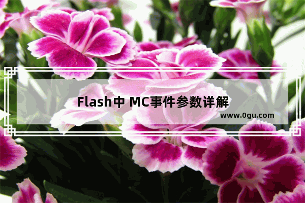 Flash中 MC事件参数详解