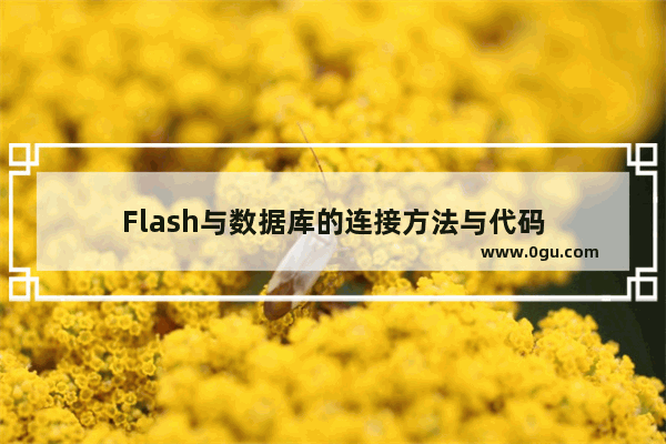 Flash与数据库的连接方法与代码