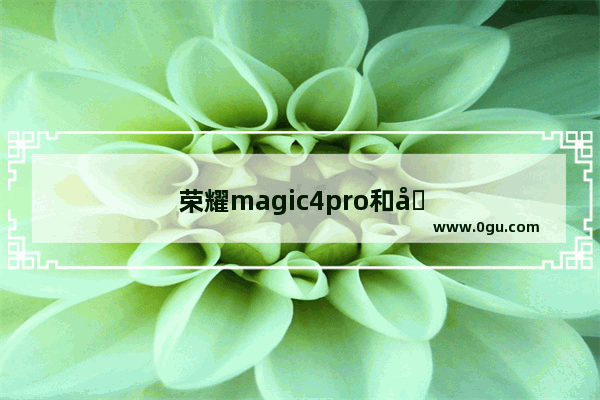 荣耀magic4pro和华为p40pro+拍照对比