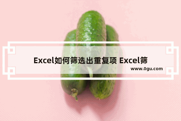 Excel如何筛选出重复项 Excel筛选出重复项的方法