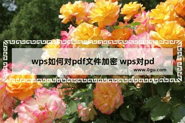 wps如何对pdf文件加密 wps对pdf文件加密的方法