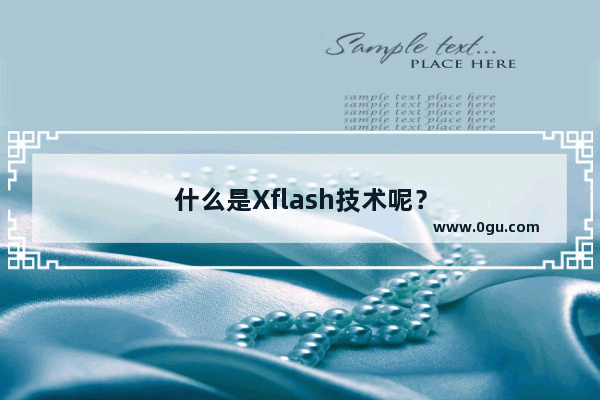 什么是Xflash技术呢？