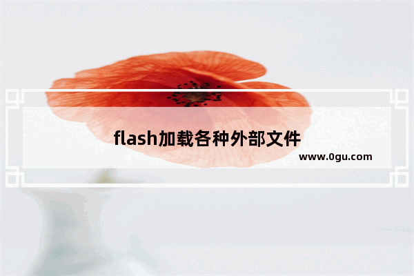 flash加载各种外部文件