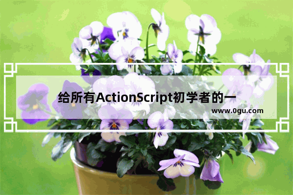 给所有ActionScript初学者的一点建议&nbsp;经典