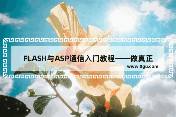 FLASH与ASP通信入门教程——做真正属于自己的留言本第1/5页