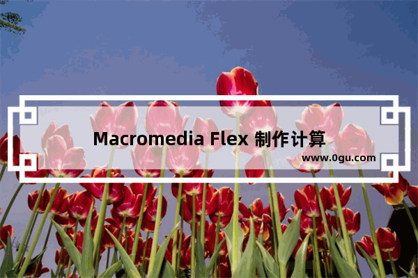 Macromedia Flex 制作计算器源码和制作步骤