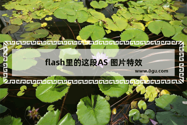 flash里的这段AS 图片特效