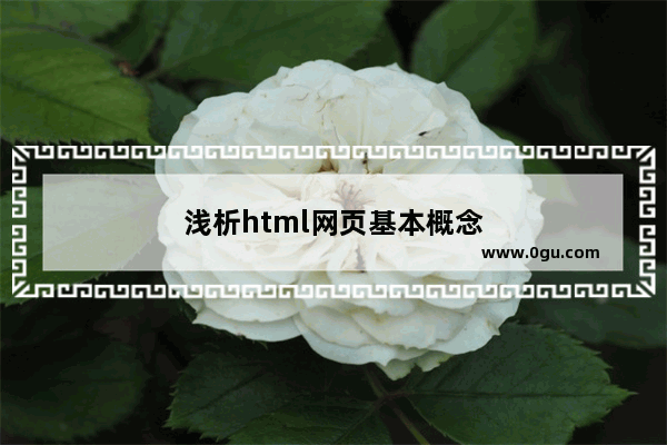 浅析html网页基本概念