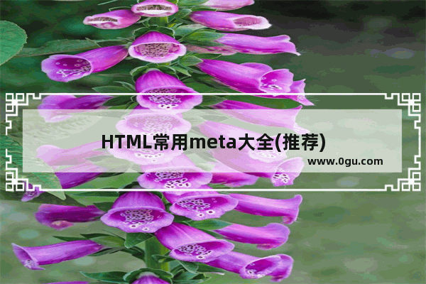 HTML常用meta大全(推荐)