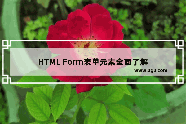 HTML Form表单元素全面了解