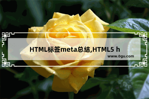 HTML标签meta总结,HTML5 head meta 属性整理