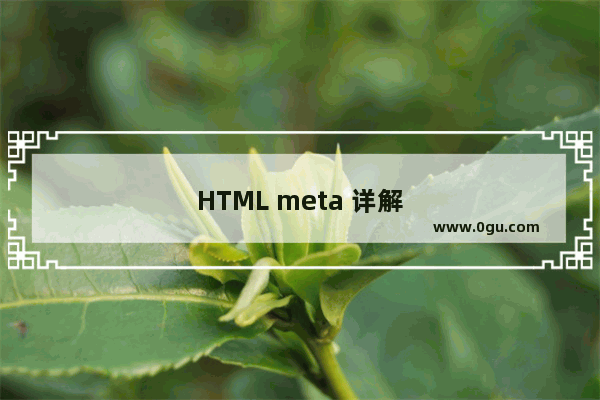 HTML meta 详解